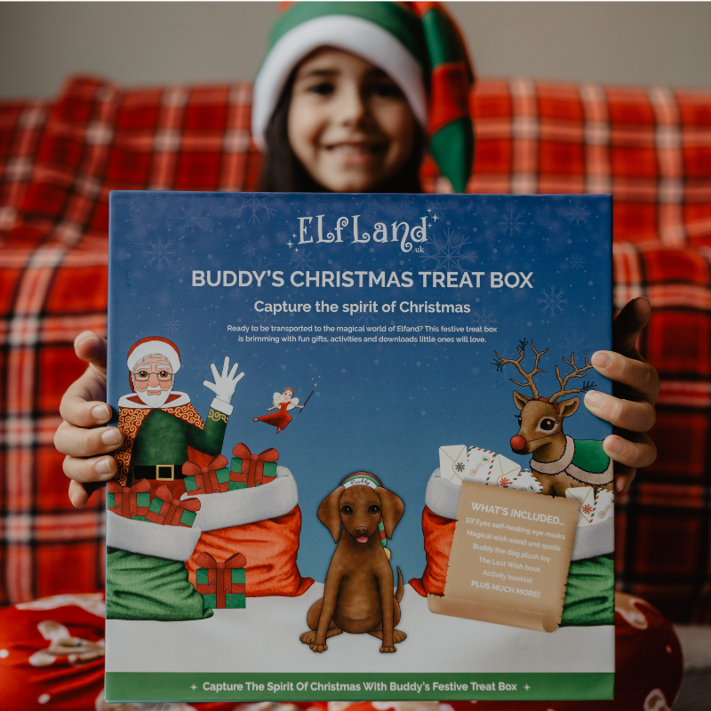 Buddy's Christmas Treat Box - Sensory Retreats